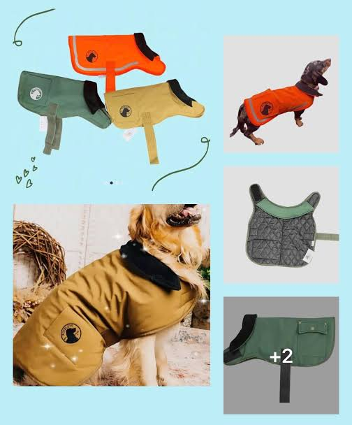 Kolase beberapa pilihan mantel anjing berwarna hijau, oranye, dan mustard